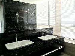 Tomlinson Heights (D10), Condominium #454867121